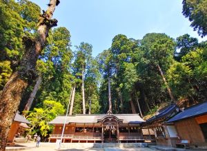 🎵2023 5月5日（金）奈良 天理 『氷室神社』シンセサイザー奉納演奏会〜氷の神様に捧げる〜